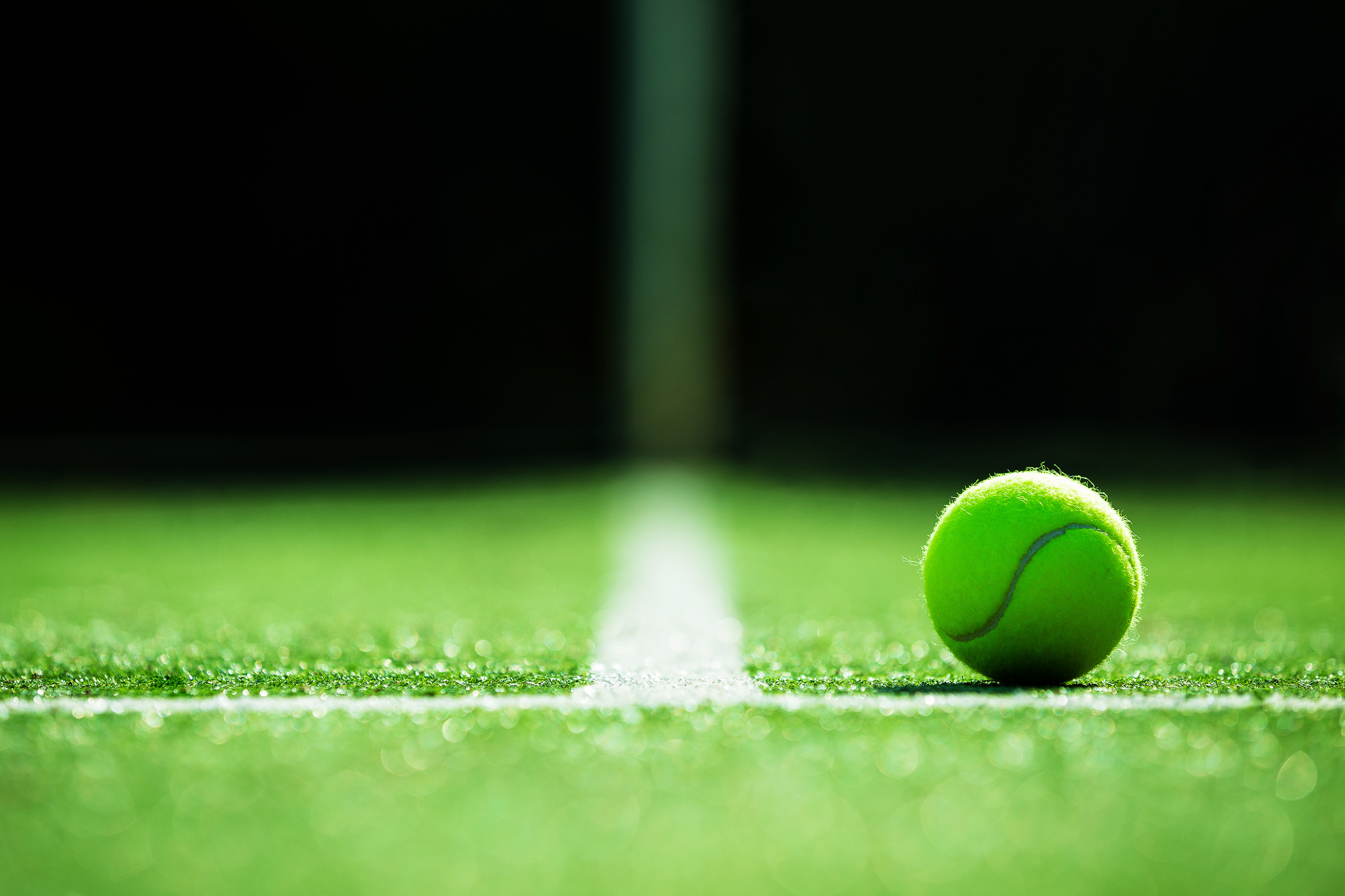 soft focus of tennis ball on tennis grass court