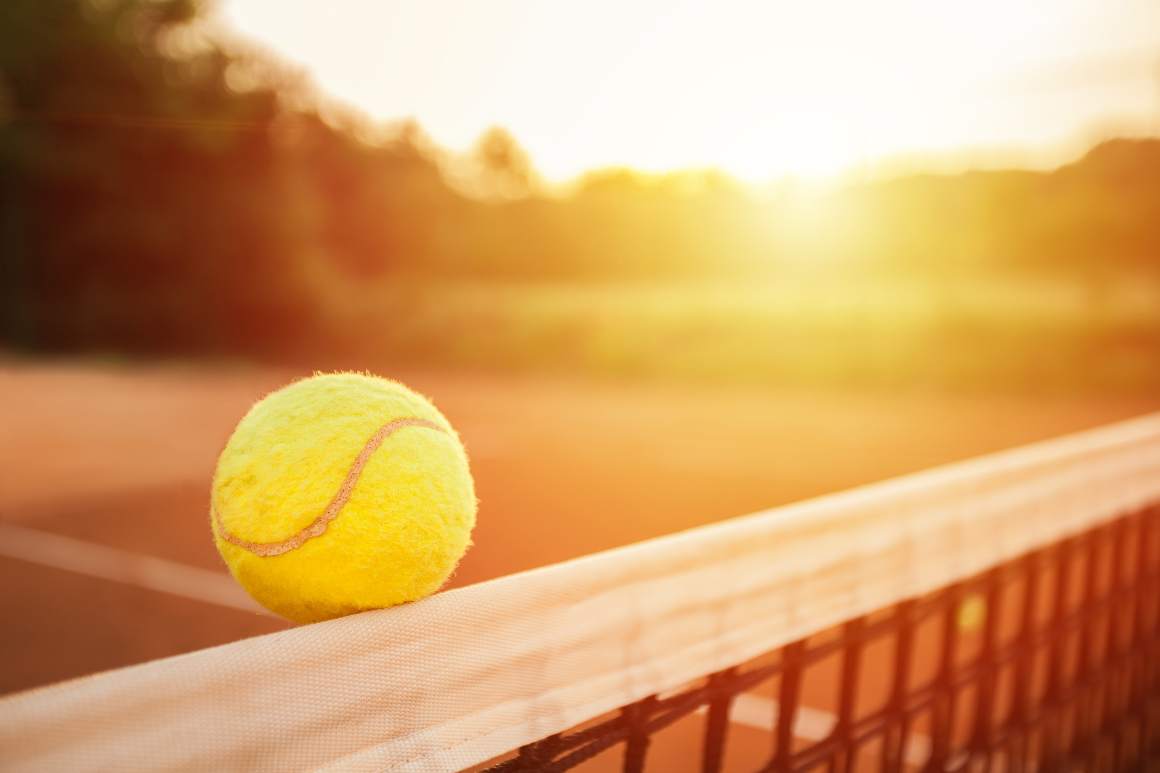 Tennis ball on the net